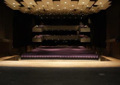 Escher Auditorium, CSB