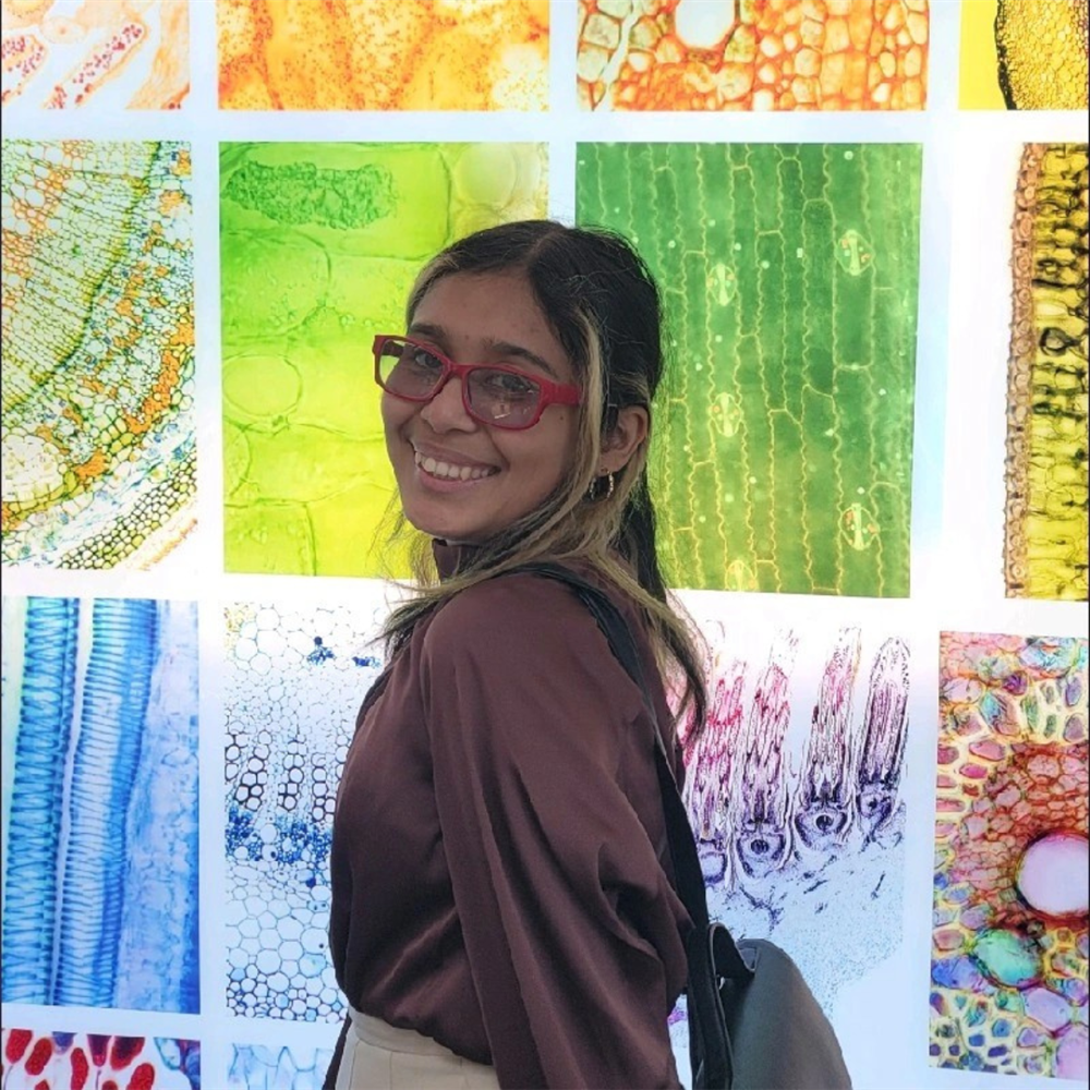 A person wearing glasses and a brown top smiles while standing in front of a colorful wall display featuring close-up images of various textures and minerals. The images include a range of vibrant colors such as green, yellow, and blue.