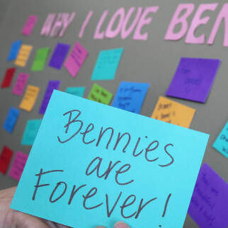 A green wall displays colorful sticky notes with messages about "Bennies." Prominent notes read "Bennies are Forever," "They are Beautiful & Smart," and "Bennies are Beautiful!.