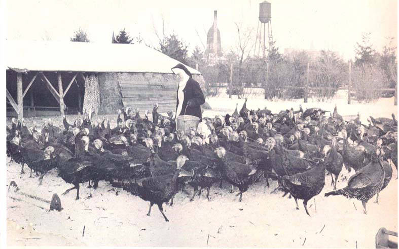 A person in a dress, wearing a hat, stands in the middle of a large flock of turkeys. They are holding a bucket and appear to be feeding the birds. The background includes a wooden structure, trees, and a water tower. The ground is covered in snow.