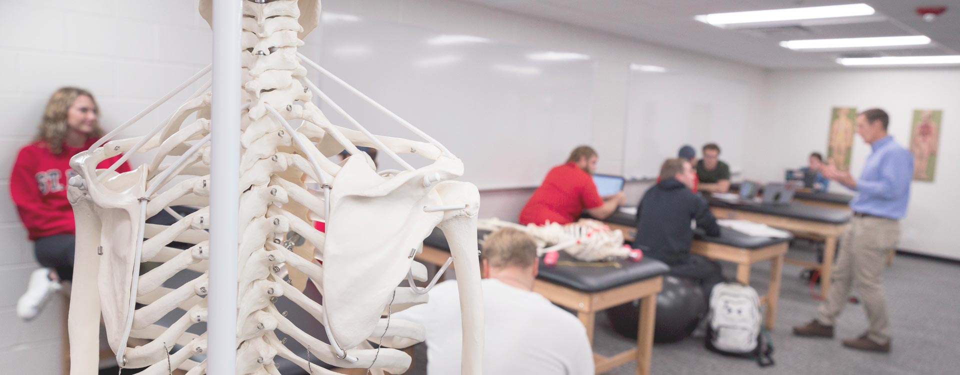 A classroom with students sitting at tables, engaged in group activities. The foreground features a detailed model of a human skeleton on the left. The room has white walls, a large whiteboard, and some anatomical charts. The atmosphere is informal and collaborative.