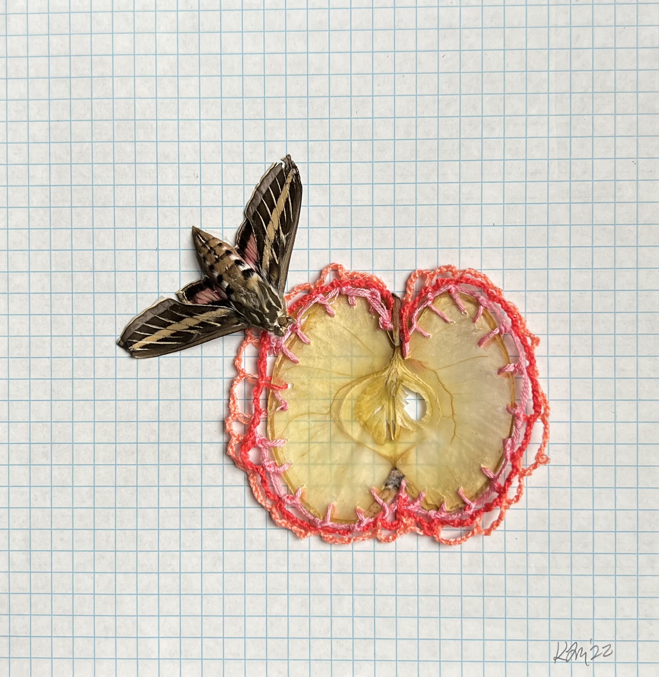 artistic stitching of apple and moth