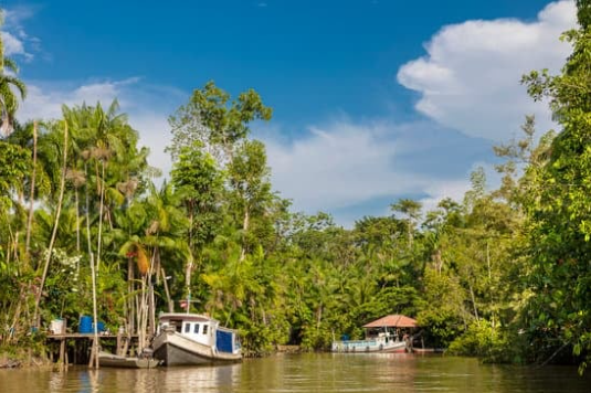 A serene river scene with two small boats docked along the lush, green forested banks. A wooden hut with a red roof is nestled among the trees. The sky is clear and blue, with a few white clouds.