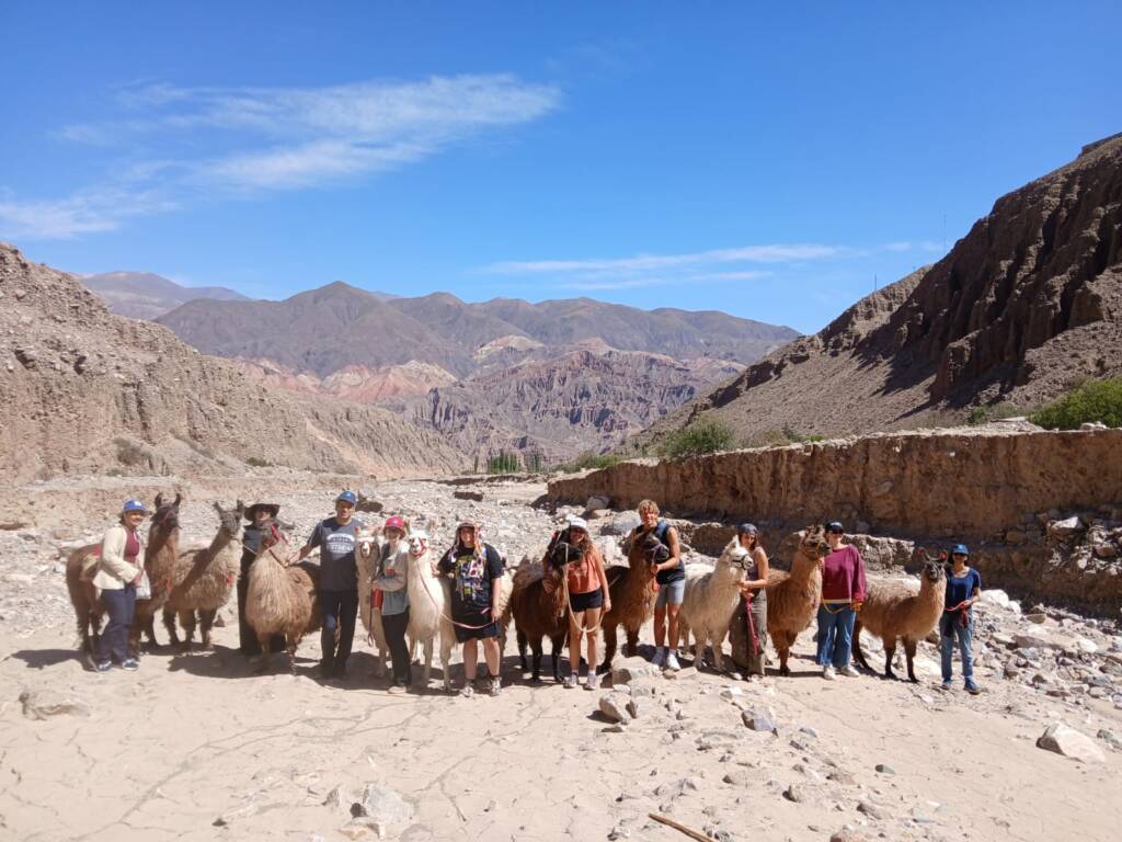 A group of people stands in a rocky, mountainous landscape under a blue sky, each holding a llama on a leash. The scene features brown and green mountain ranges in the background.