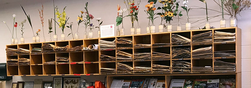 A shelving unit with numerous compartments, filled with stacks of paper, is topped with an assortment of flower vases. The vases contain various types of flowers and are arranged in a line above the cubby holes.