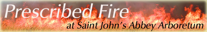 prescribed fire at saint john's abbey arboretum