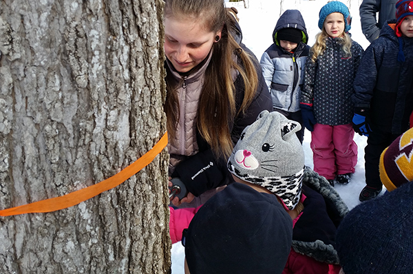 kindergarteners tapping trees