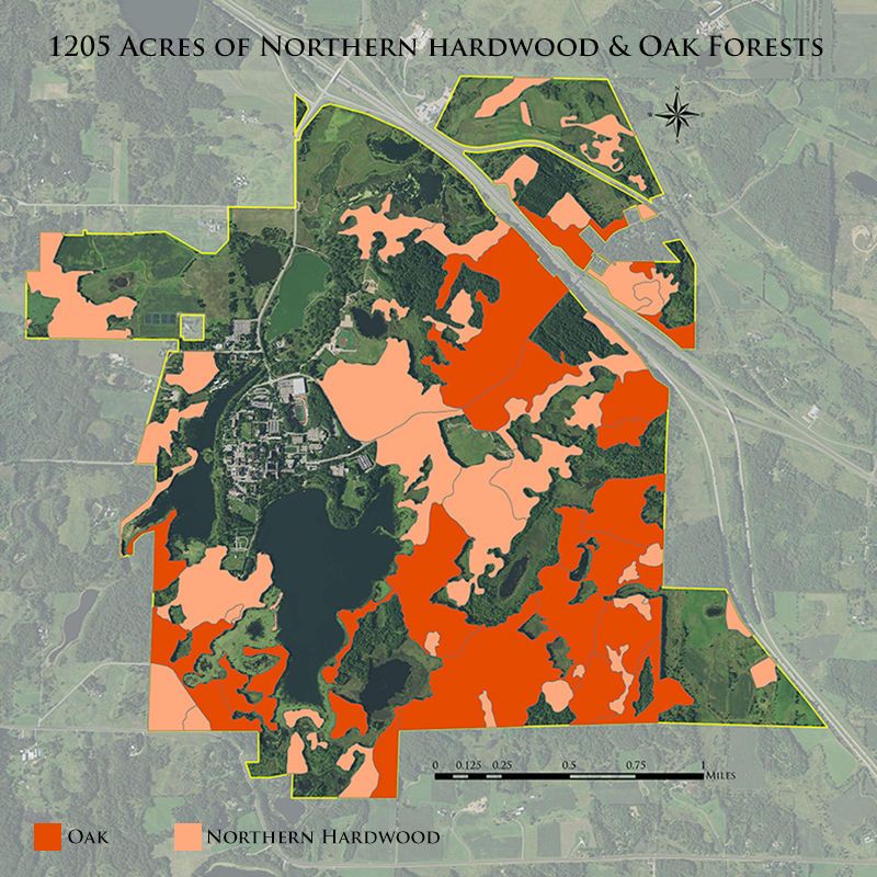 1205 acres of northern hardwood and oak forests - map