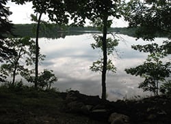 View from Pickerel Point