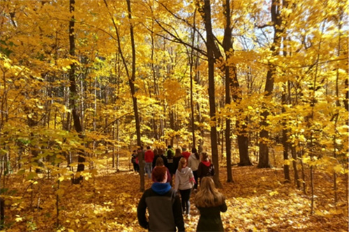 A class hikes through the fall color of the abbey arboretum.