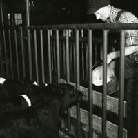 Barn, 1950s