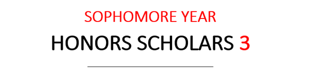 words Sophomore Year Honors Scholars 3