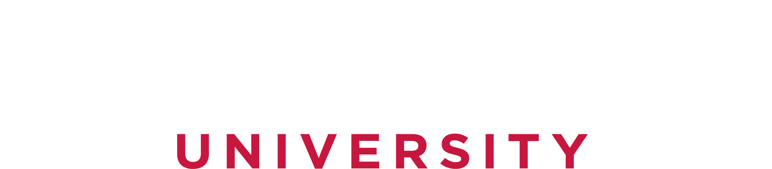 Logo of Saint John's University. The text "Saint John's" is written in white with a serif font, and below it, "UNIVERSITY" is in uppercase red letters. The background is black.