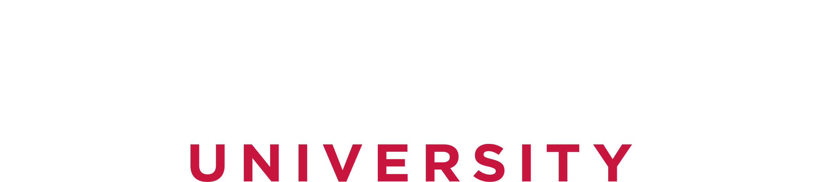 Logo of Saint John's University. The text "Saint John's" is written in white with a serif font, and below it, "UNIVERSITY" is in uppercase red letters. The background is black.