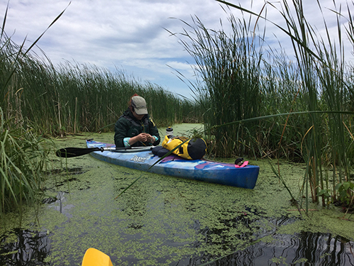 Courtney doing research in the field in a kayak.