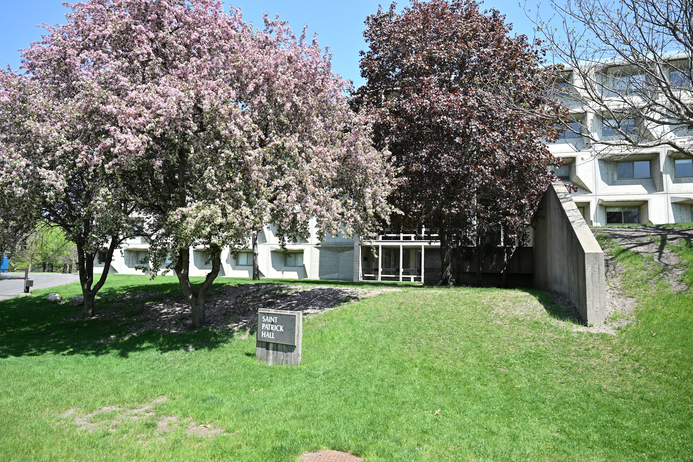 A modern building labeled "Saint Francis Hall" is partially obscured by lush trees with pink blossoms. The structure has a geometric design, and the surrounding grass is green and well-maintained. The sky is clear and blue.