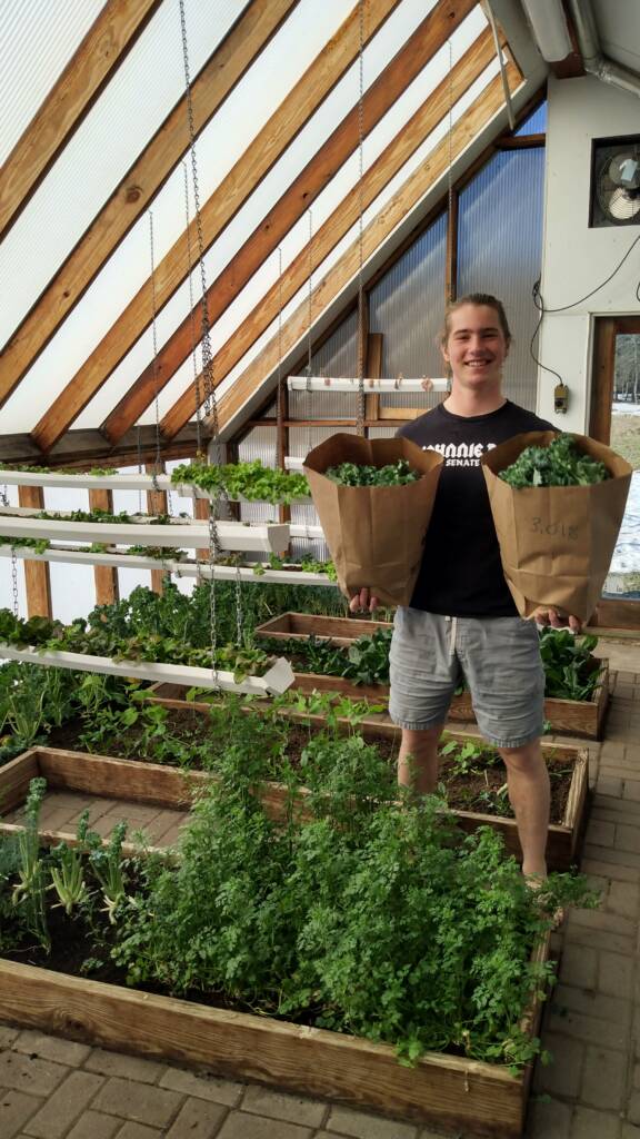 A person stands smiling in a greenhouse, holding two large paper bags filled with greens. The greenhouse is filled with various thriving plants, including leafy greens in raised beds and vertical growing systems. Natural light streams through the translucent roof panels.