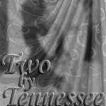 A poster for "Two by Tennessee" presented by CSB/SJU Theater Department from February 19-24, 2004, at 7:30 pm. Held at Benedicta Arts Center Studio Theater. For ticket info, call 363-5777. The background features a draped curtain design.