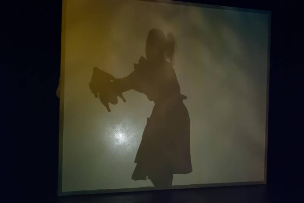 Silhouette of a person holding a large puppet. The shadow is cast on a light screen or curtain, creating a dramatic, artistic effect. The person appears to have their hair tied up and is wearing a garment resembling a dress or coat.