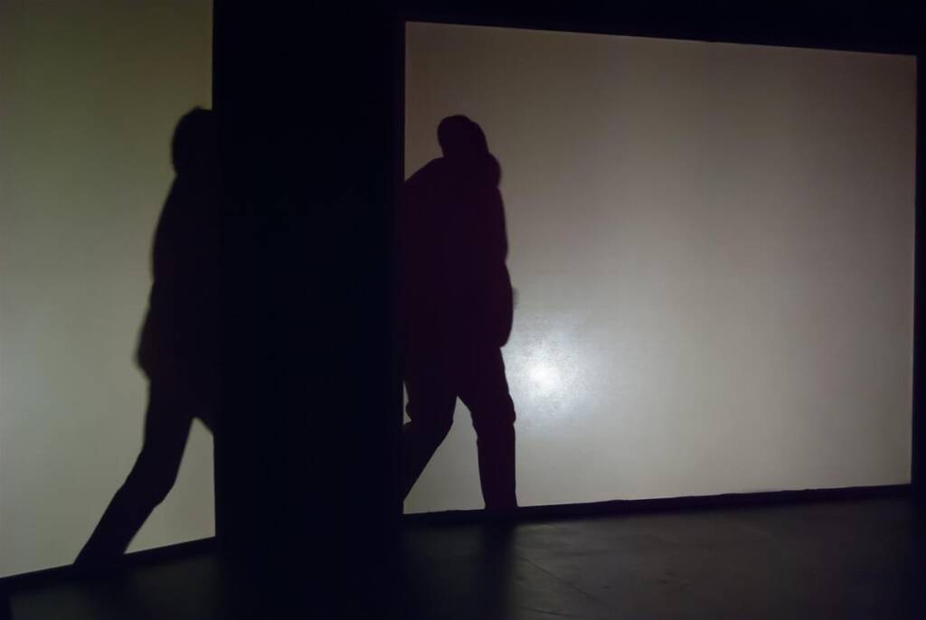 A silhouette of a person walking is visible against a well-lit backdrop, creating a shadow on a frosted glass or opaque surface. The atmosphere is mysterious, with only the outlines and movements discernible.