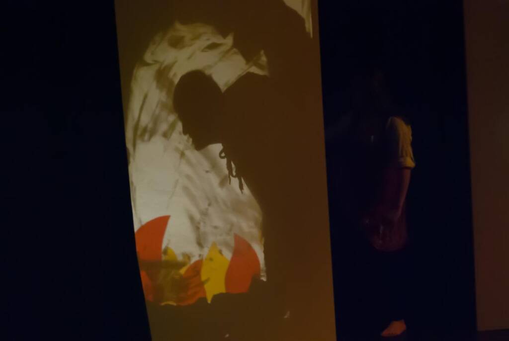 A shadowy silhouette of a person wearing a hat is projected onto a screen in a dimly lit space. The image on the screen includes abstract shapes and colors, creating a mysterious and artistic scene.