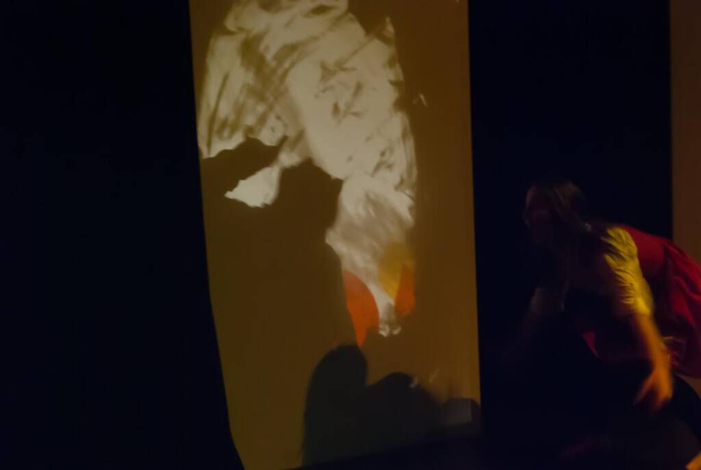 A person crouches in a dimly lit space, casting long shadows on a large, illuminated screen. The shadows and light create an abstract pattern on the projection. The overall atmosphere is mysterious and artistic.