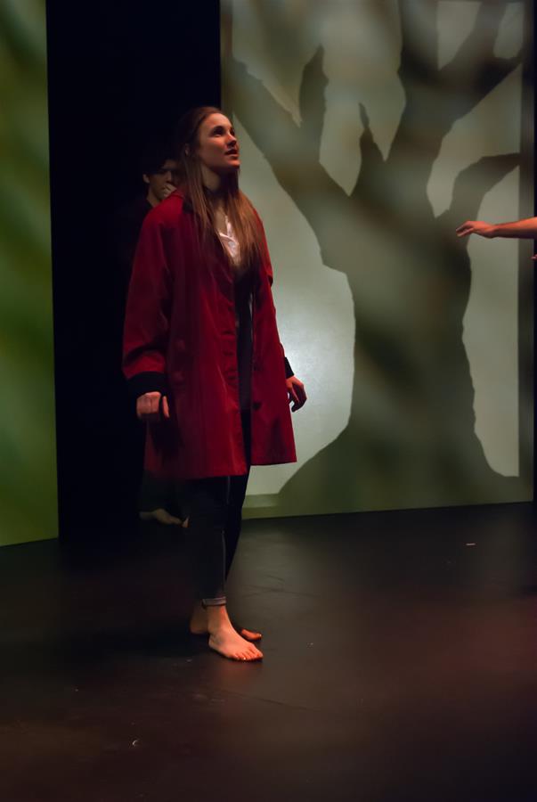 A person in a red coat stands barefoot on a dimly lit stage with a backdrop of abstract, tree-like shadows. Another person is partially visible in the background.