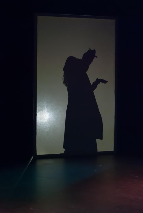 A silhouetted figure projected on a dark background, wearing a long coat and gesturing with one hand raised, creating a dramatic shadow. The setting is dimly lit, enhancing the mysterious atmosphere.