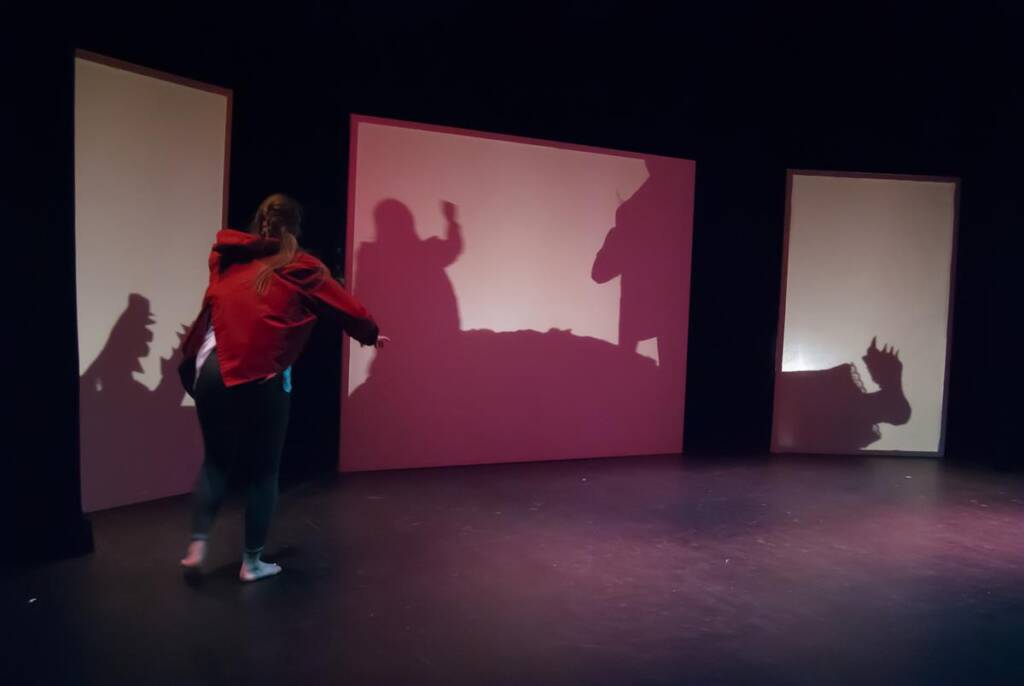 A person in a red jacket interacts with projected shadows on a stage. The shadows depict various hand shapes and a unicorn. The room is dimly lit, emphasizing the playful shadow display.