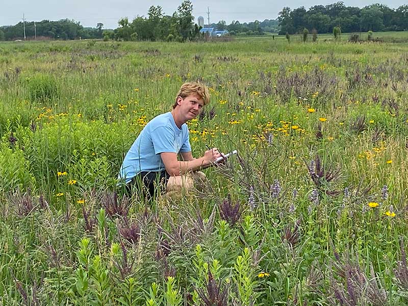 A person kneels in a field of tall grass and wildflowers, taking notes on a clipboard. They are wearing a light blue shirt and surrounded by various plants and flowers under an open sky. Trees and distant structures are visible in the background.